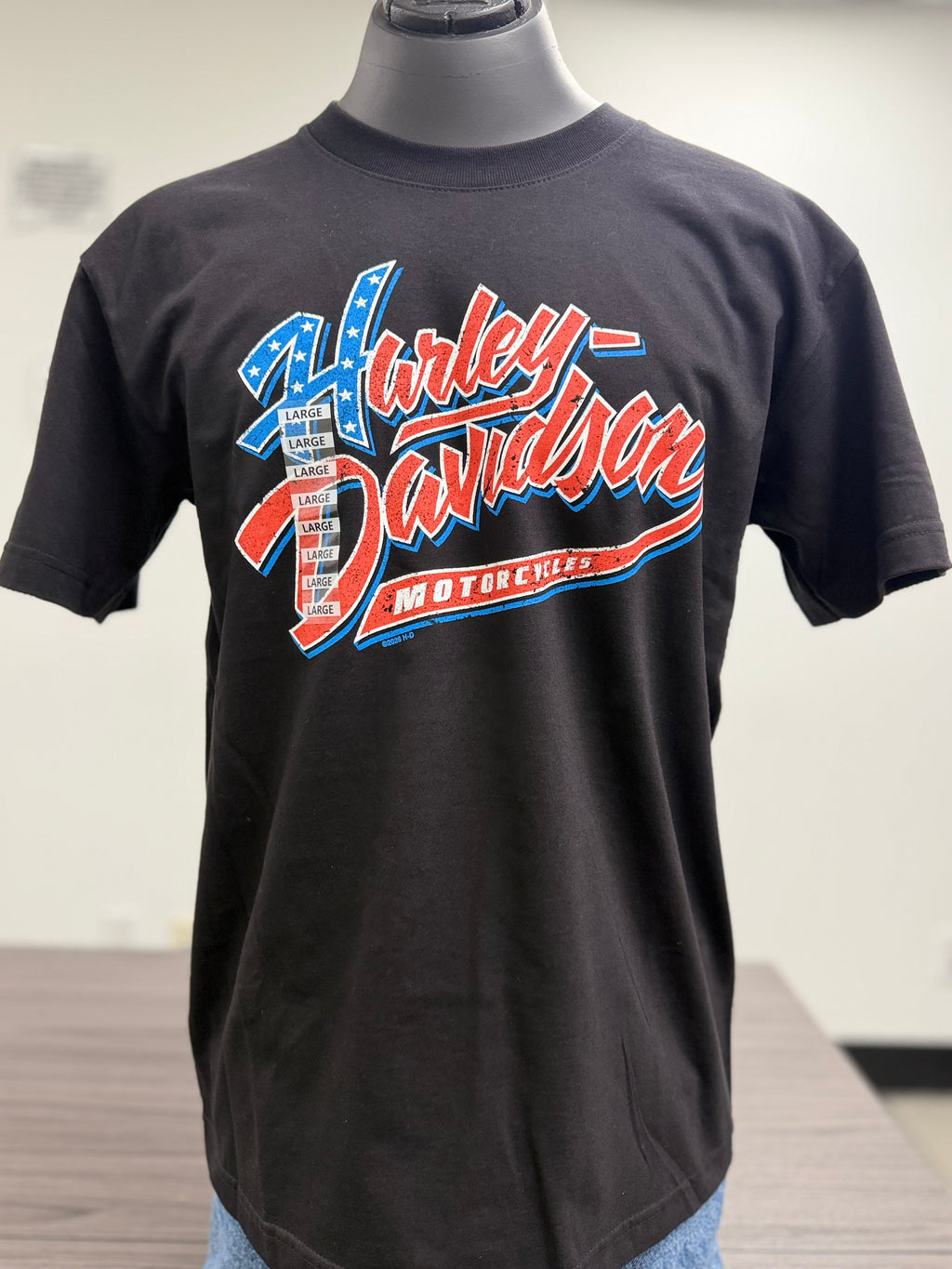 AMERICAN SCRIPT MENS T-SHIRT