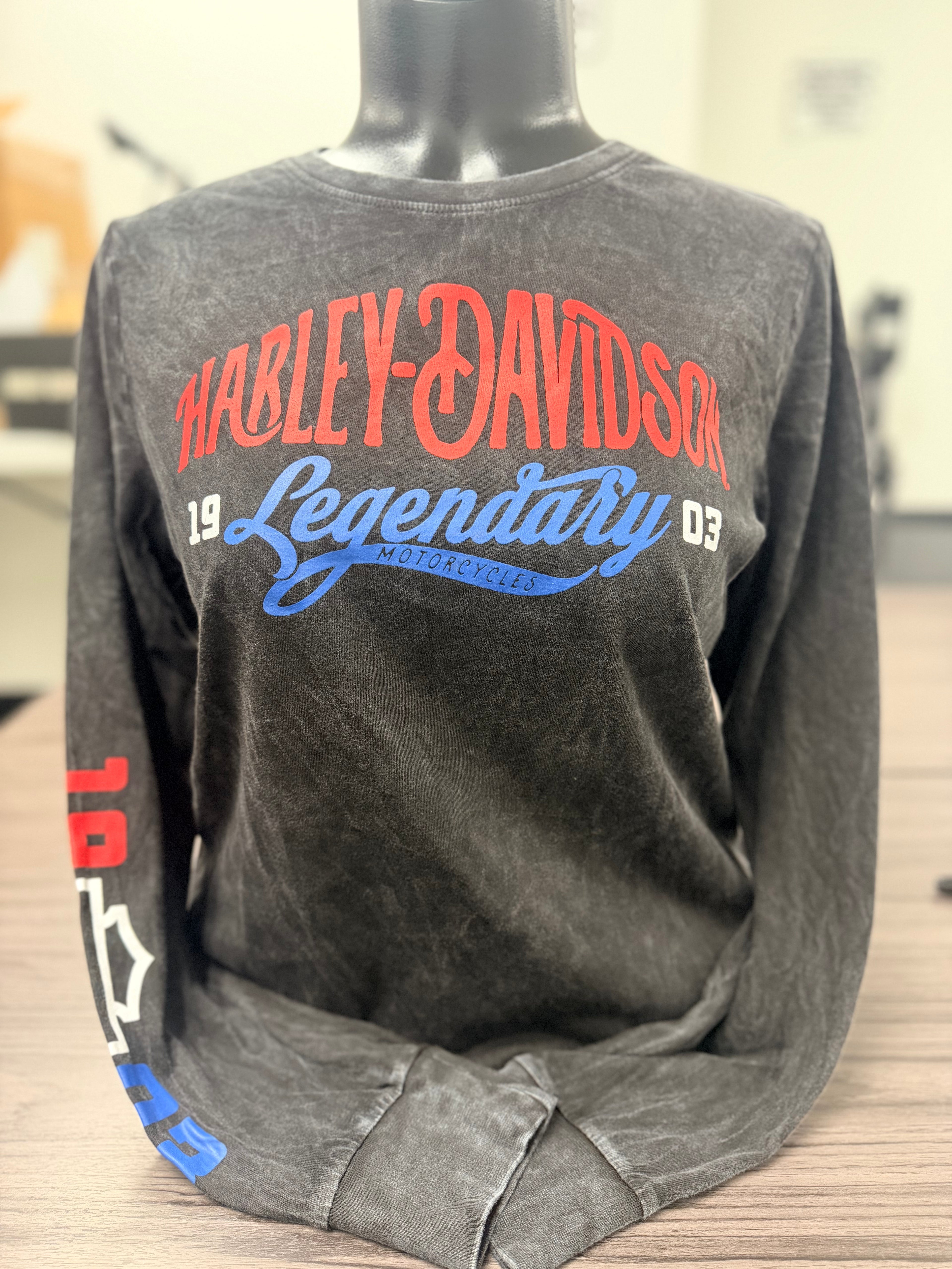 LEGENDARY ARCH DYED LONG SLEEVE SHIRT