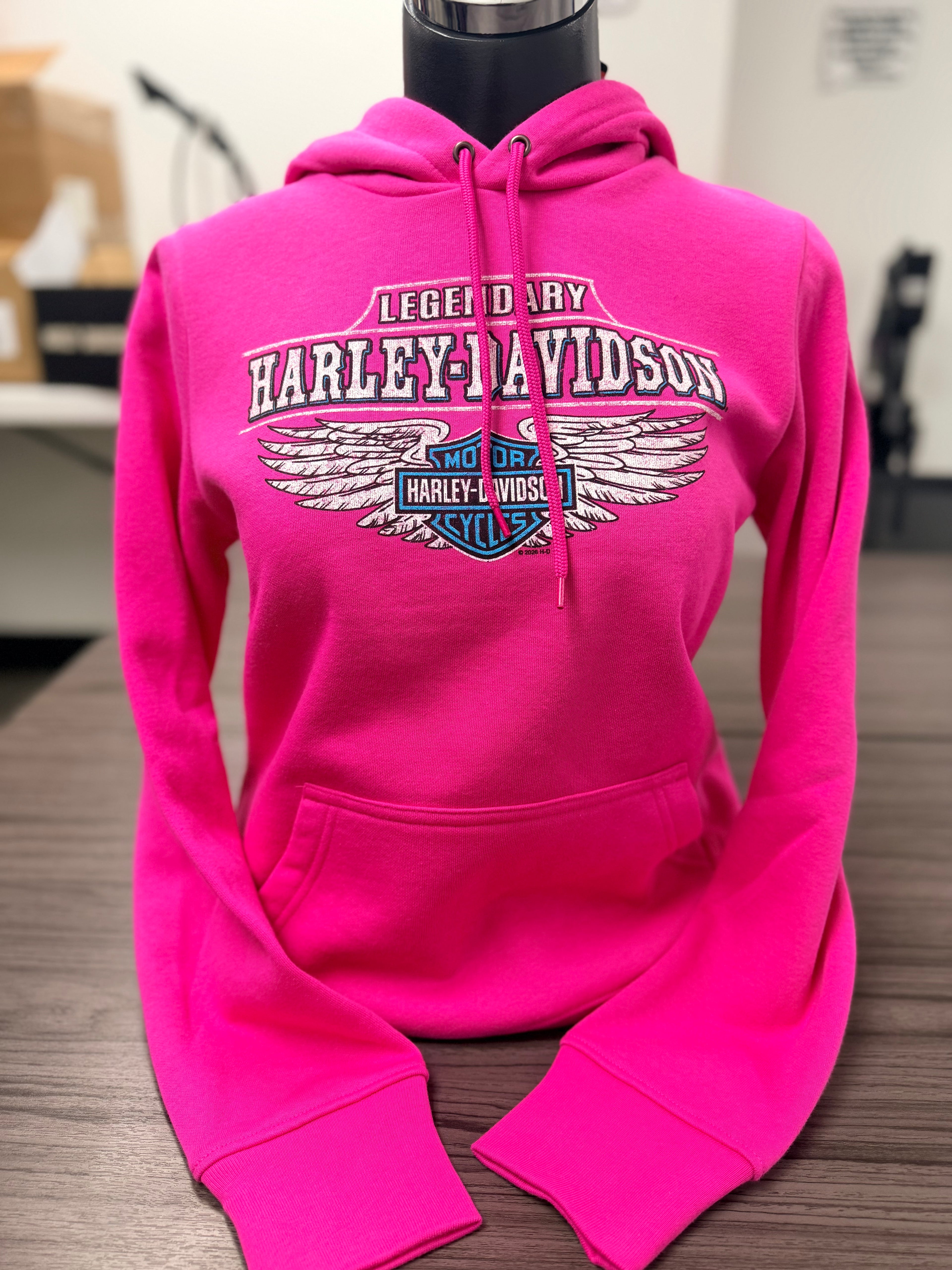BRIGHT WINGS HOODIE