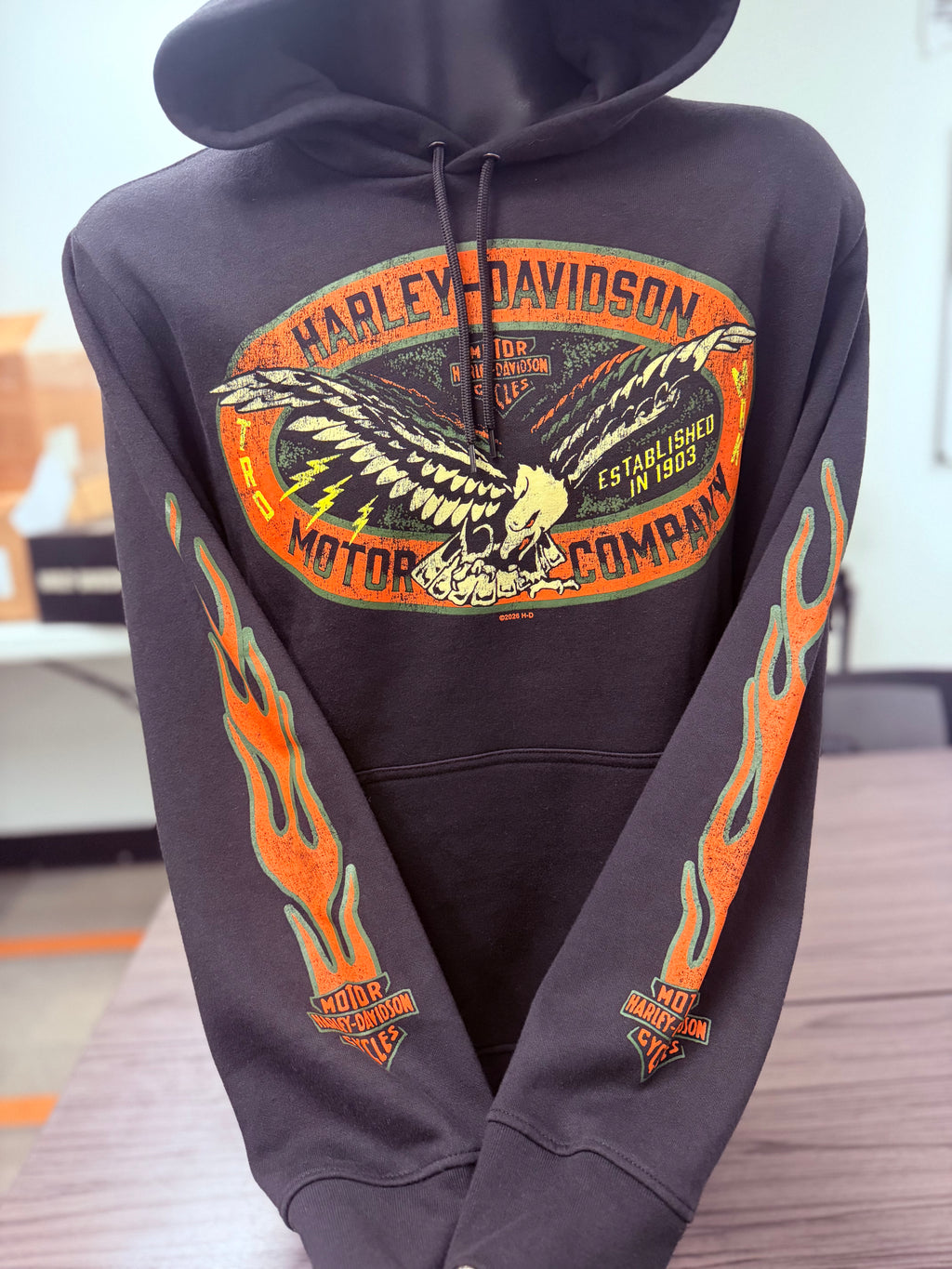 H-D MOTOR FLAMES HOODIE