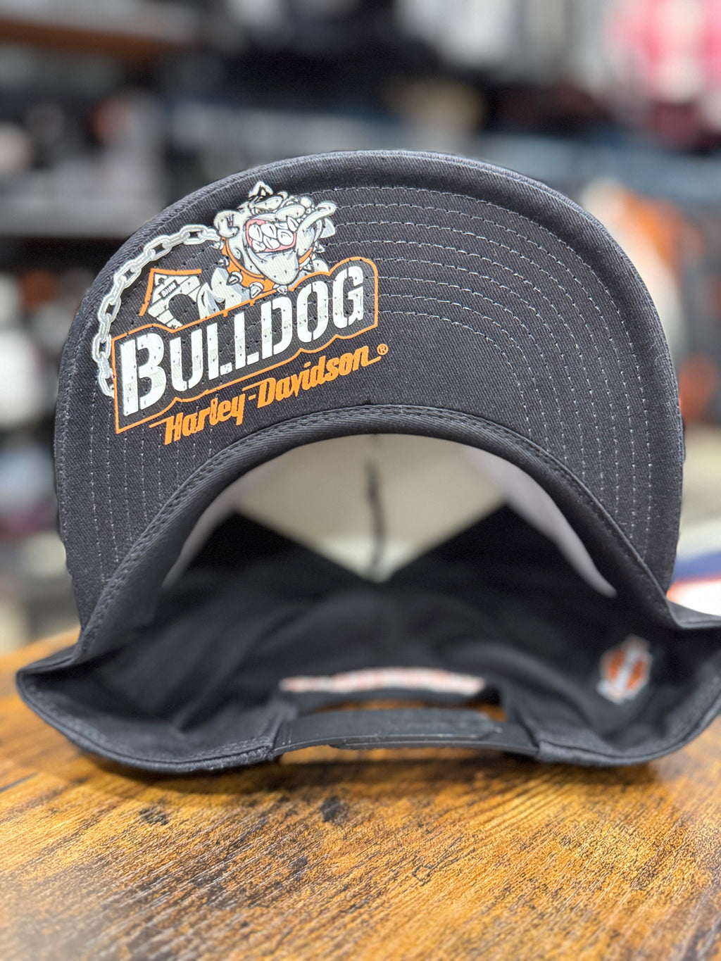 BDHD UNDEBILL SNAPBACK